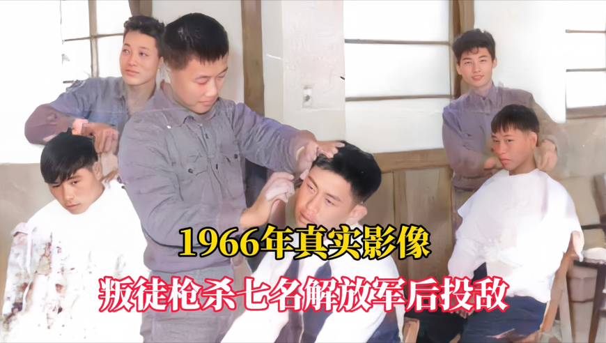 蒋勤勤秒变毛茸茸玩偶,香港挑码助手新澳网页版,整体规划执行讲解_户外版V13.77
