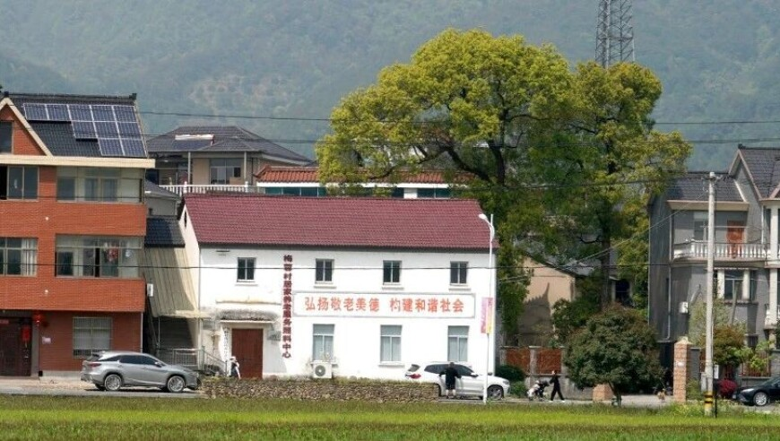 马拉松职业私兔最高月入4万,2025澳门天天开好彩免会资料,准确资料解释落实_标清版V11.96